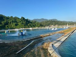 Jelang Kesaktian Pancasila, PLN UP3 Pringsewu Nyalakan Listrik untuk Hilirisasi Pertanian dan Perikanan