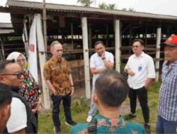 OJK Dorong Ekosistem Peternakan Sapi di Lampung